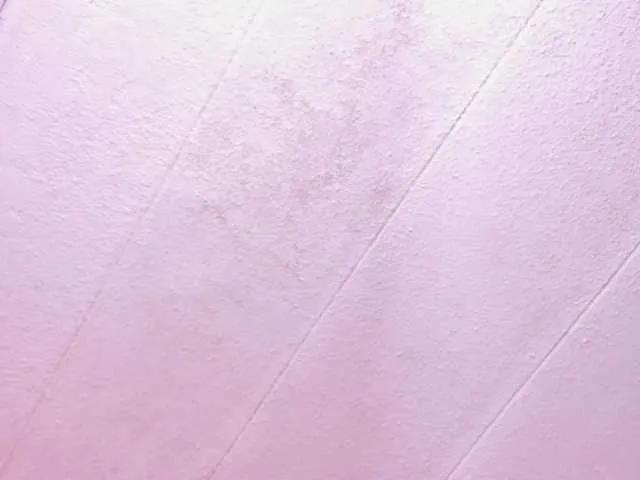SammyMonroe on BongaCams