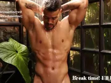 alexander_martines — Get hard - flex show! / Underwears - Private On! - Tip menu  #lovense #muscle #uncut #bigcock #latin