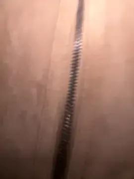 FroggyAnna — hello Anna!!